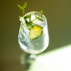 Klarer Drink mit Eiswürfeln, Gurkenscheibe und frischem Minzzweig in einem Glas mit Glasstrohhalm